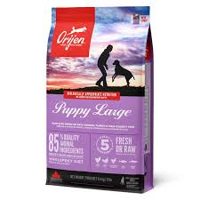 אוריג׳ן גור לארג׳ 11.4 ק''ג