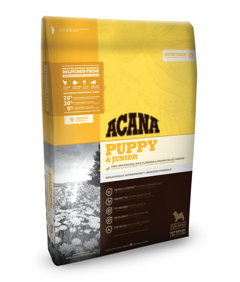 אקנה לגורים וכלבים צעירים ג'וניור 6 ק״ג