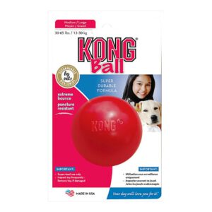 צעצוע לכלב קונג כדור בינוני - KONG Ball