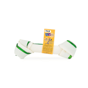 עצם קשר דנטלית 16.5 ס"מ