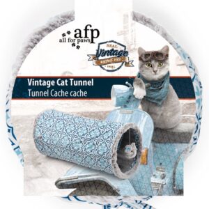 מנהרת וינטג' לחתול