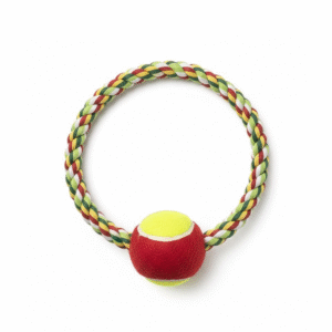 חבל עגול עם כדור טניס