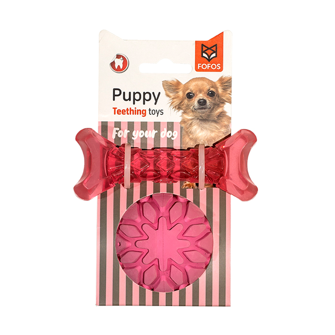 צעצוע עצם וכדור לגורים 2 ב-1