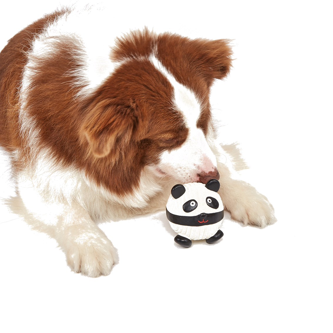 פנדה מצפצף מלטקס – תמונה 2